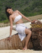 Sexy Hamsa Nandini Pictures 14