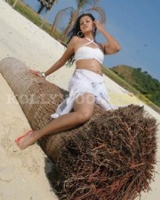Sexy Hamsa Nandini Pictures 16