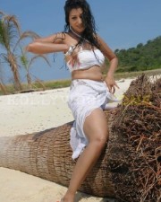 Sexy Hamsa Nandini Pictures 21