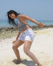 Sexy Hamsa Nandini Pictures 39
