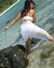 Sexy Hamsa Nandini Pictures 44