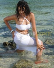 Sexy Hamsa Nandini Pictures 46