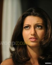 Sexy Hamsa Nandini Stills 11