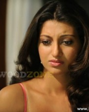 Sexy Hamsa Nandini Stills 12