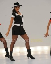 Sexy Hamsa Nandini Stills 26