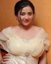 Swetha Basu Prasad Chandamama Pictures 05