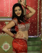 Swetha Basu Prasad Spicy Stills 05