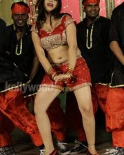 Swetha Basu Prasad Spicy Stills 06