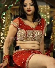 Swetha Basu Prasad Spicy Stills 12