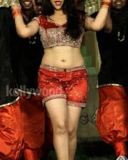 Swetha Basu Prasad Spicy Stills 21