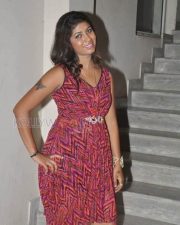 Telugu Actress Geetanjali Stills 04