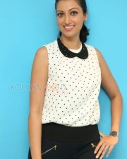 Telugu Actress Hamsa Nandini Photos 06