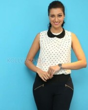 Telugu Actress Hamsa Nandini Photos 23