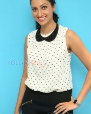 Telugu Actress Hamsa Nandini Photos 33