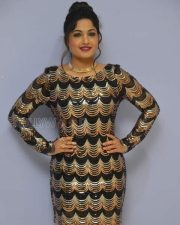 Telugu Actress Madhavi Latha New Photos 13