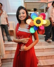 Telugu Actress Nikitha Narayan Photos 03