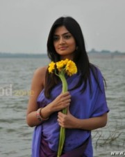 Telugu Actress Nikitha Narayan Sexy Photos 10