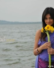 Telugu Actress Nikitha Narayan Sexy Photos 11