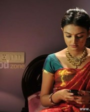Telugu Actress Nikitha Narayan Sexy Photos 25