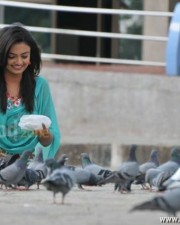 Telugu Actress Nikitha Narayanan In Its My Love Story Pictures 17