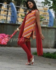 Telugu Actress Nikitha Narayanan In Its My Love Story Pictures 21