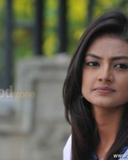 Telugu Actress Nikitha Narayanan In Its My Love Story Pictures 23