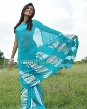 Telugu Actress Nikitha Narayanan In Its My Love Story Pictures 31