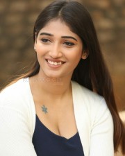 Telugu Film Actress Priya Vadlamani Photoshoot Stills 25