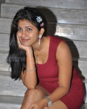 Tollywood Actress Geetanjali Hot Photos 02
