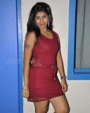 Tollywood Actress Geetanjali Hot Photos 10