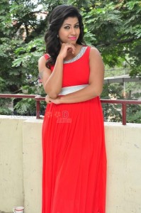 Tollywood Actress Geethanjali New Pictures 09