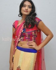 Tollywood Actress Nikitha Narayan Pictures 02