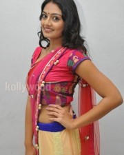 Tollywood Actress Nikitha Narayan Pictures 08