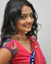 Tollywood Actress Nikitha Narayan Pictures 10