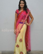 Tollywood Actress Nikitha Narayan Pictures 11