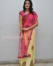 Tollywood Actress Nikitha Narayan Pictures 15