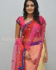 Tollywood Actress Nikitha Narayan Pictures 16