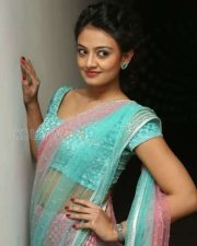 Tollywood Actress Nikitha Narayan Saree Pictures 11