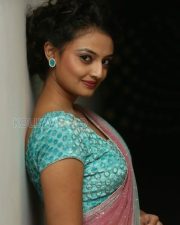 Tollywood Actress Nikitha Narayan Saree Pictures 12