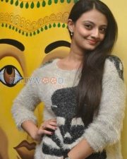 Tollywood Actress Nikitha Narayan Stills 22