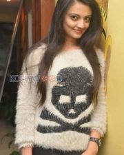 Tollywood Actress Nikitha Narayan Stills 30