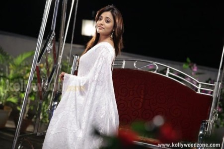 Tollywood Actress Nisha Agarwal Pictures 08