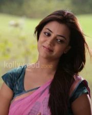 Tollywood Actress Nisha Agarwal Pictures 20