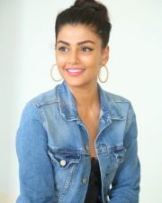 Actress Anisha Ambrose At Ee Nagaraniki Emaindi Press Meet Photos 01