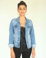 Actress Anisha Ambrose At Ee Nagaraniki Emaindi Press Meet Photos 13