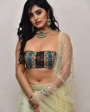 Actress Pragya Nayan at Kalinga Pre Release Event Photos 21