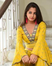 Actress Preethi Asrani At Pressure Cooker First Look Launch Pictures 05