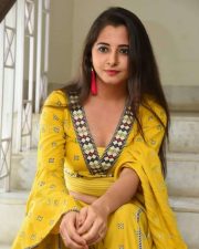 Actress Preethi Asrani At Pressure Cooker First Look Launch Pictures 06