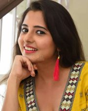 Actress Preethi Asrani At Pressure Cooker First Look Launch Pictures 07