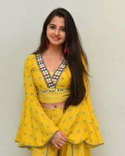 Actress Preethi Asrani At Pressure Cooker First Look Launch Pictures 11